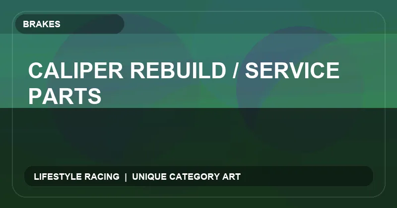 Caliper Rebuild / Service Parts